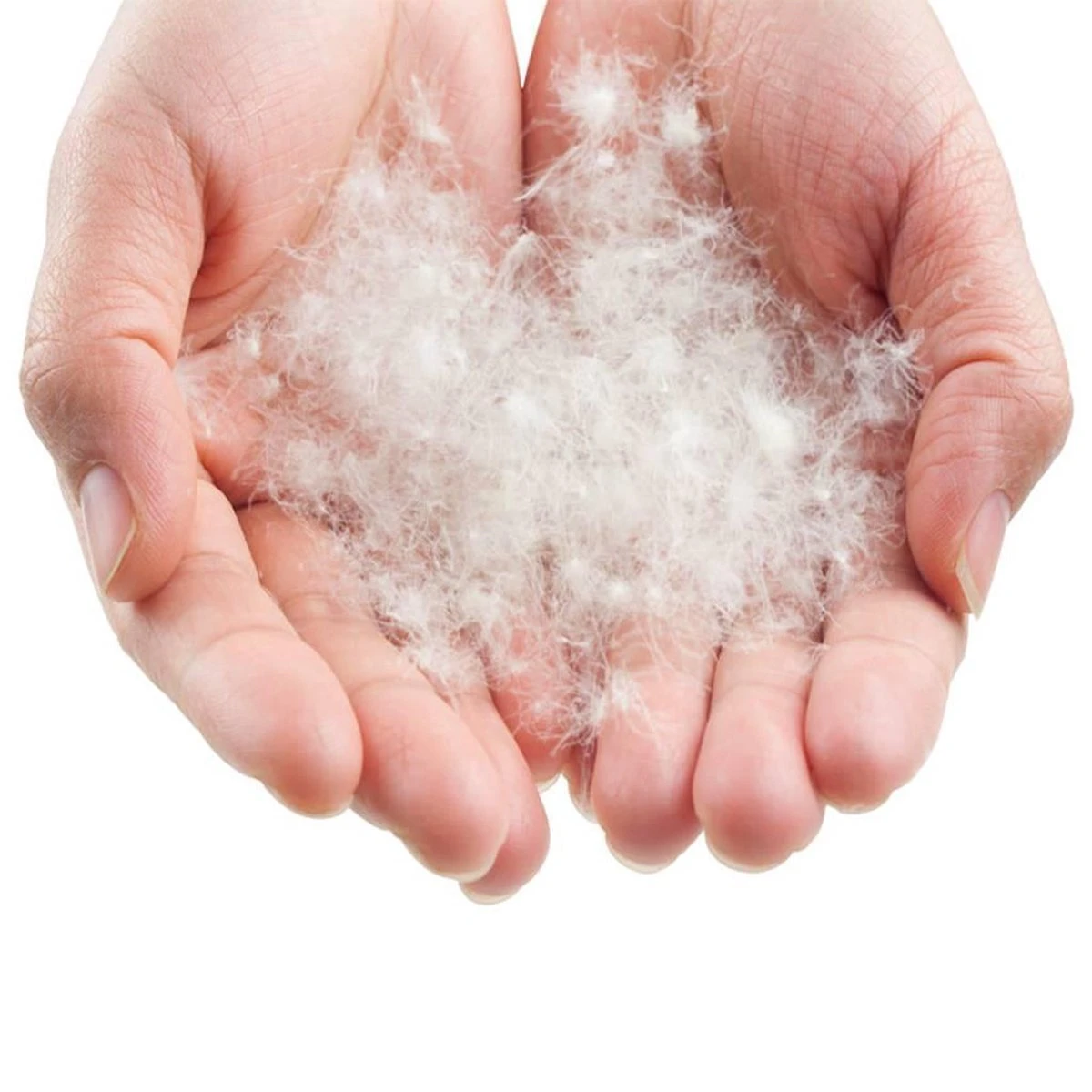 LOWLAND OUTDOOR® Donzen Slaapzak - Super Compact Blanket - 210 X 80 Cm - 590gr +8°C - Afbeelding 5