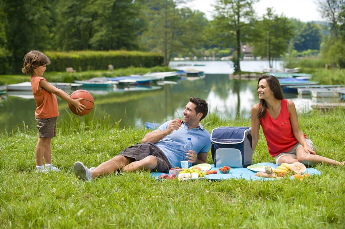 Campingaz Fold 'n Cool Koeltas - 20 Liter - Blauw/grijs - Afbeelding 3